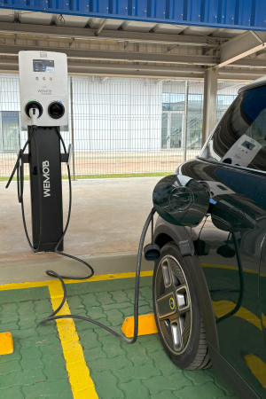 descrição da imagem